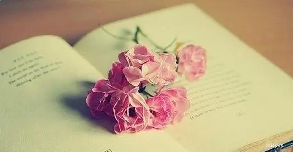 形容事不遂人愿的句子文案