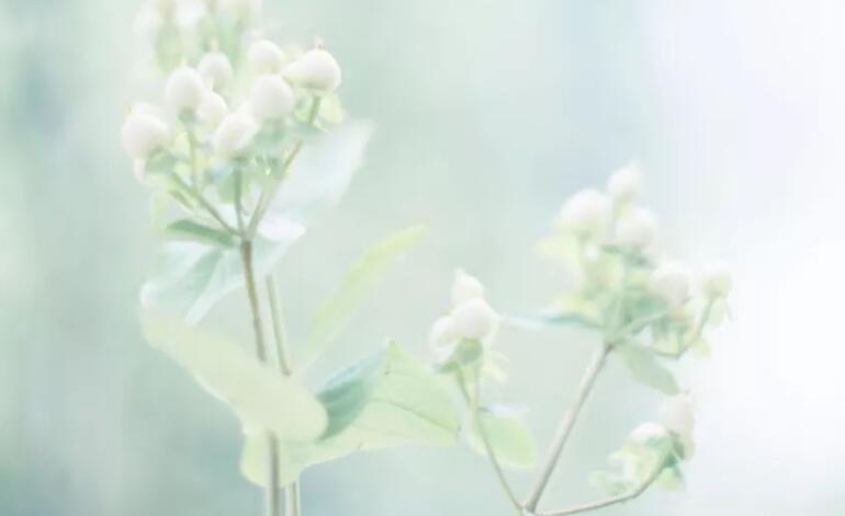 表达美好的一天的句子文案