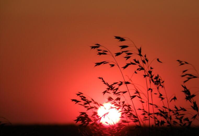 傍晚景色的朋友圈说说文案