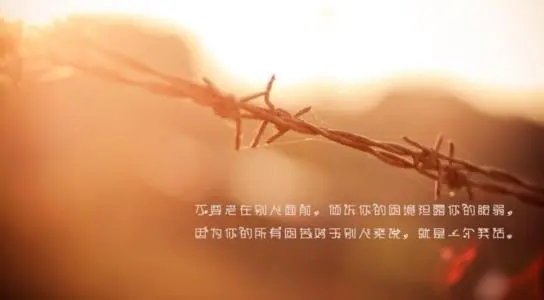 骂人的最高境界的句子文案图片