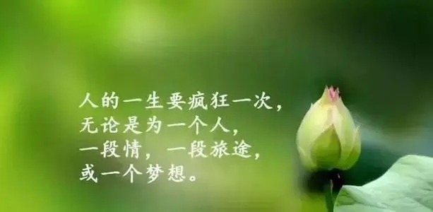 女人感悟人生的日常说说文案