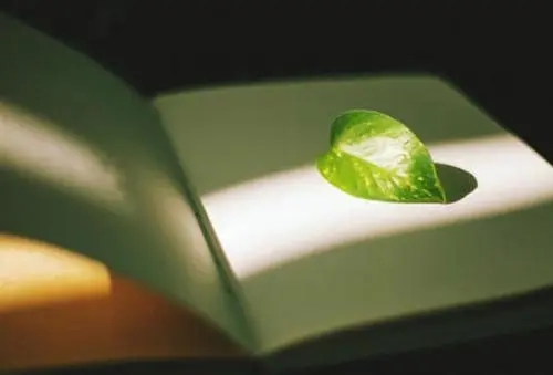 描写旧时光的唯美句子文案