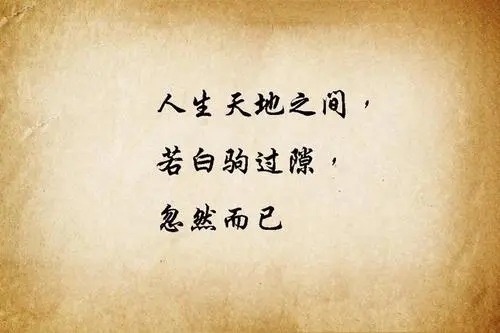 表示理解对方的名言