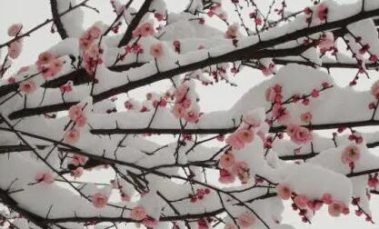 赞美四季的优美句子文案