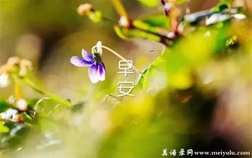 工作感恩励志语句文案