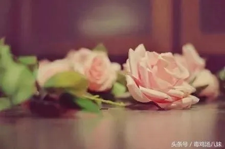 领悟人生的唯美句子文案