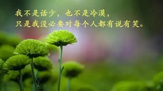 家庭责任的感悟的句子文案