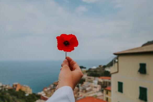 努力鸡汤句子文案