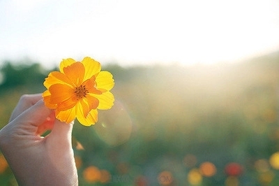 师生情的精美话语