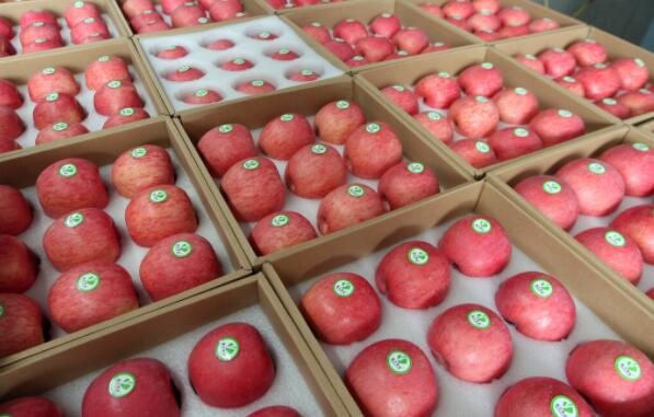 描写苹果的优美句子文案