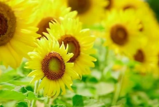 有意境的旅行句子文案简短