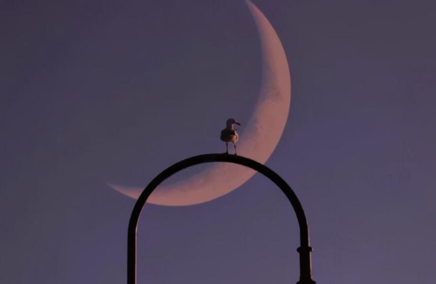 讽刺的话语有哪些