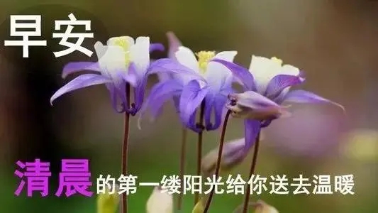 暖心温馨祝福语