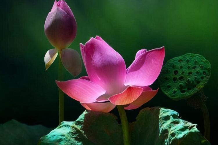 人生扎心语句文案