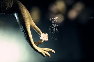 佛说缘分的句子文案