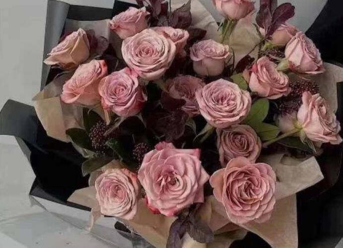 最美的样子经典语录文案