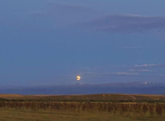 自己相信自己励志短句