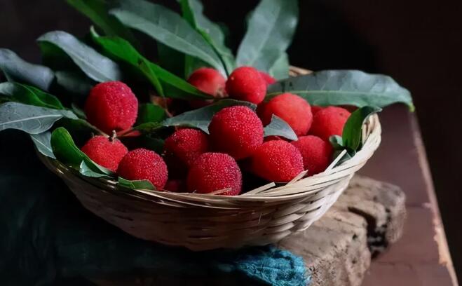 好朋友每日早晨问候语大全