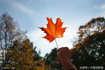 不后悔自己决定的名言