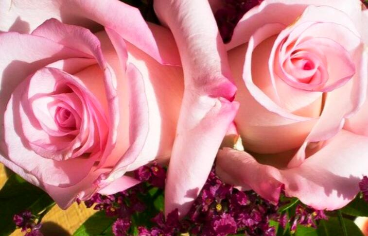 对情人忘不了的句子文案