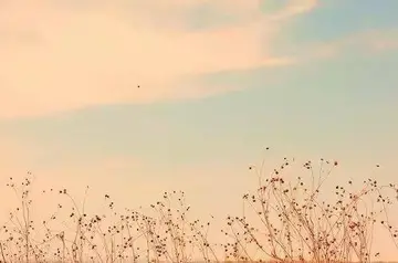 微信正能量的句子文案