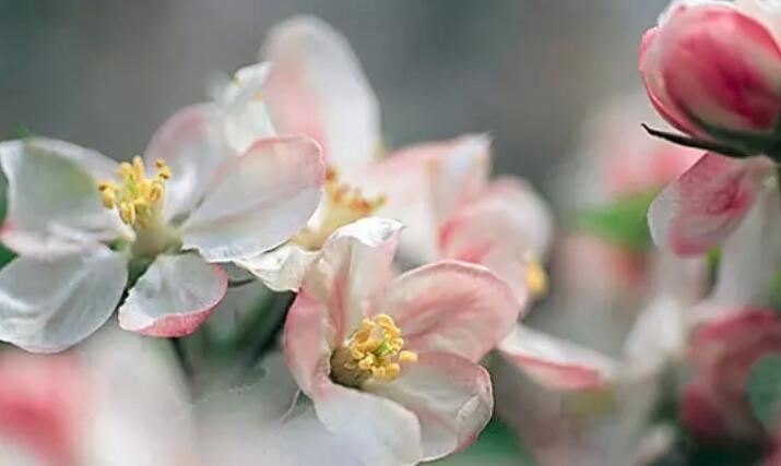 唯美名言名句文案经典摘抄