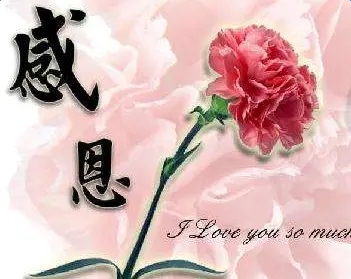 母亲节的句子文案