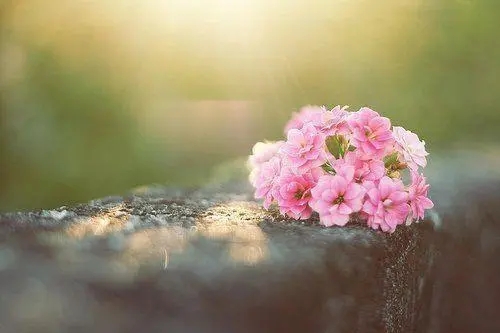 生活感悟简单一句话