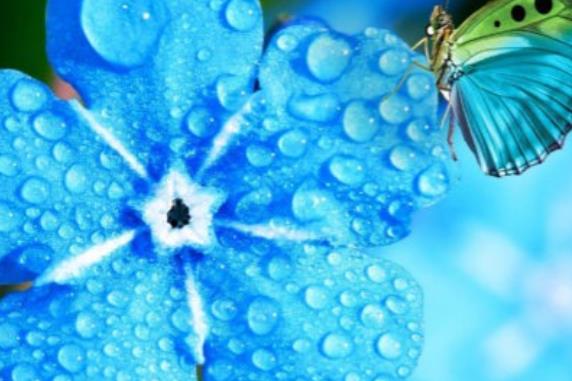 形容爱得心痛的语句文案