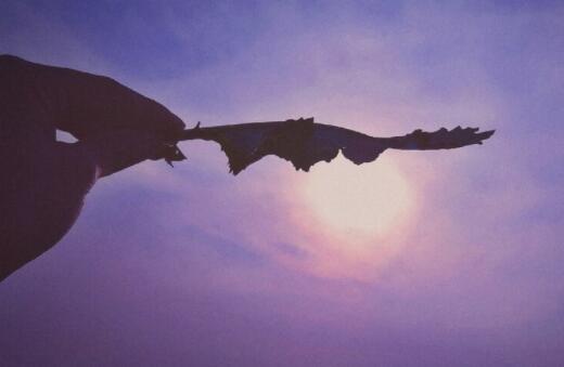 我一直在的经典语录文案