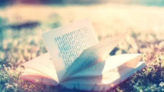 用期待写一段话50字