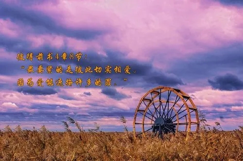 圣经里的经典句子文案