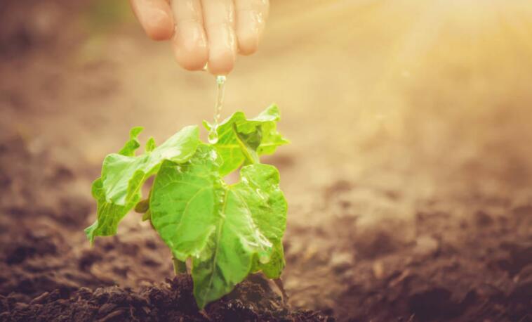 一百句暖心情话文案短句