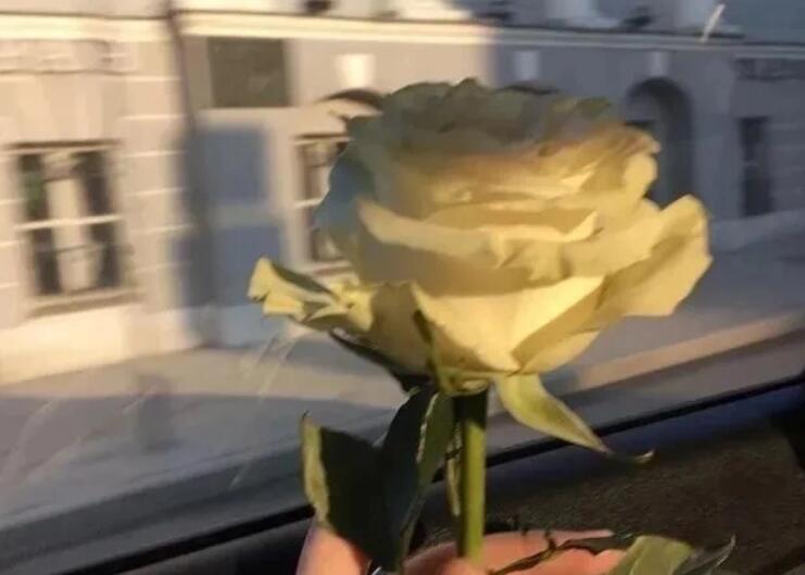 吃一堑长一智发朋友圈