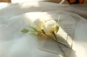 越来越喜欢独处的经典句子文案