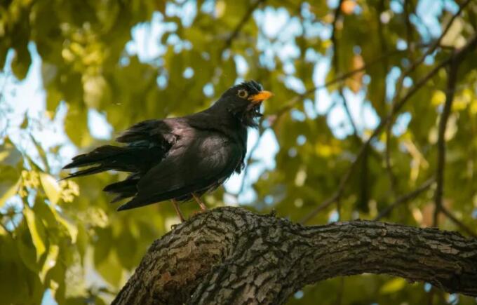 关于谷雨的诗词名句文案