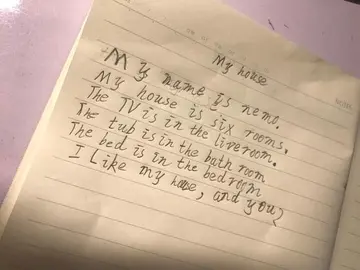 不少于五句话的英语日记