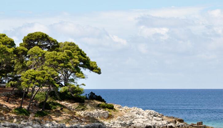好词好句文案好段摘抄作者