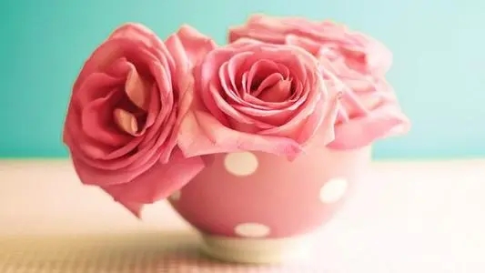 献给爱人最温暖的话