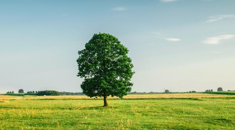 不要和别人诉苦的语录文案