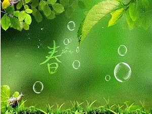 描写春天的好句文案好段摘抄大全