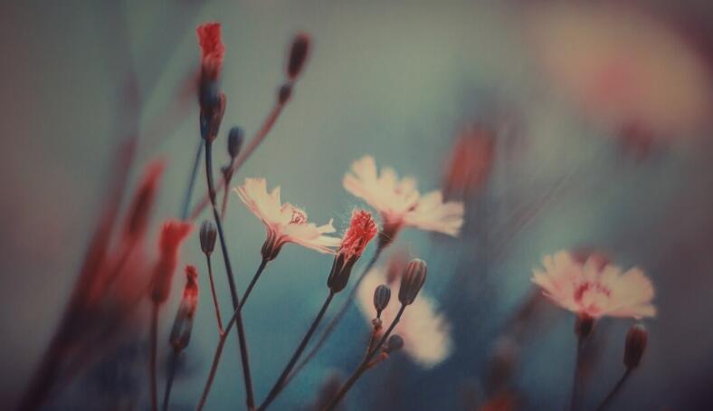 表达自己心痛的句子文案