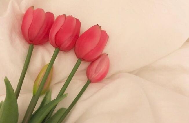 写给男朋友的情书