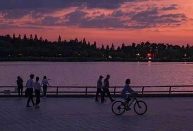 掌中之物最催泪的句子文案