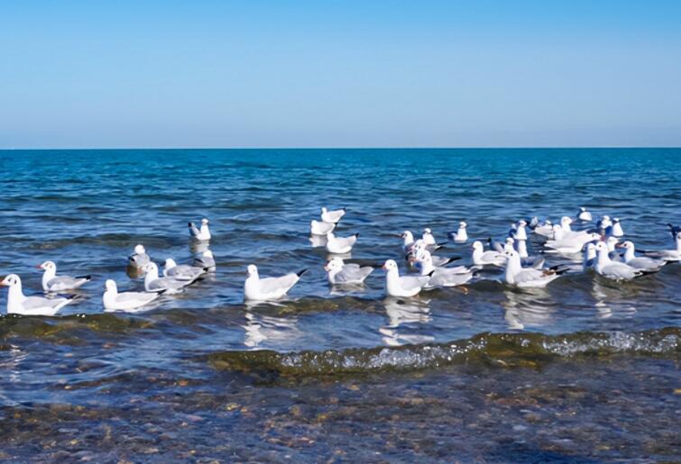 开天辟地的诗句文案