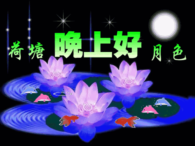 晚上好祝福语图片动态