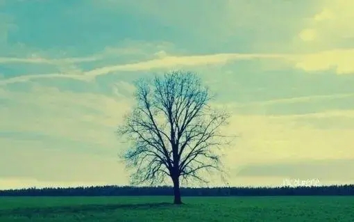 答应了却做不到的说说文案