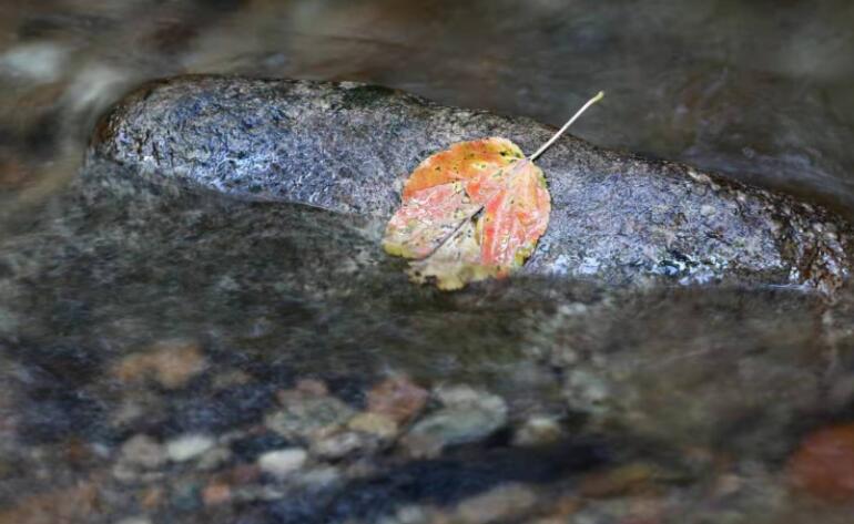 高中哲理性好句子文案摘抄
