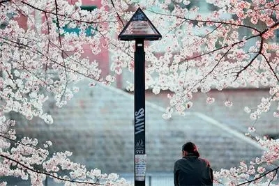 关于风景的文艺唯美说说语录文案