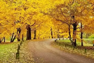 关于追寻的唯美句子文案